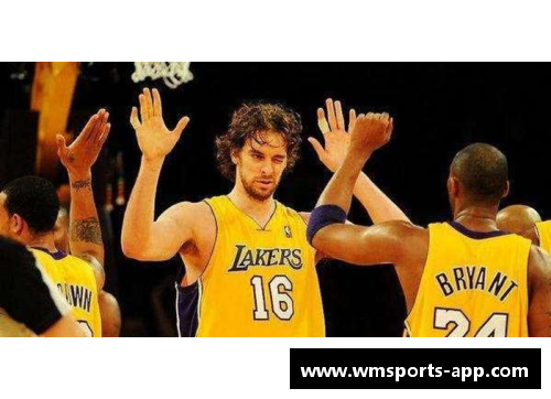 科比球场传奇：球员评述录