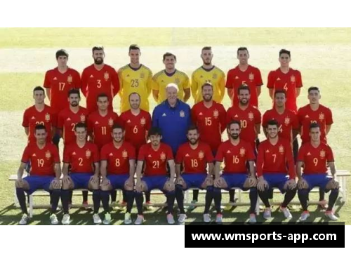 西班牙队名单公布：欧洲杯阵容大揭秘