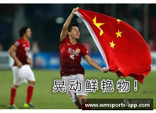 浙江球场风云：浙江籍球员的辉煌与挑战