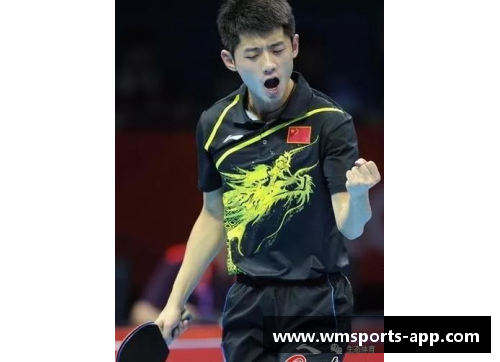 张继科：乒坛传奇与人生探索