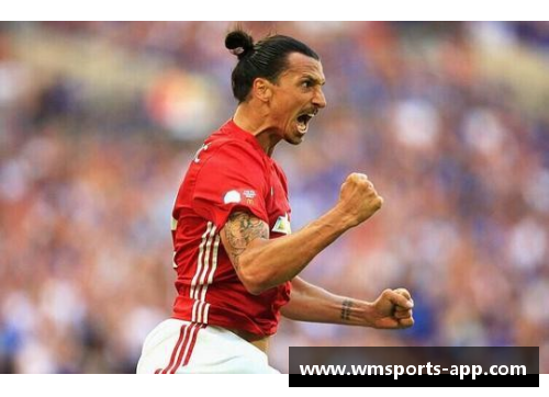 伊布：传奇之路与足球荣耀