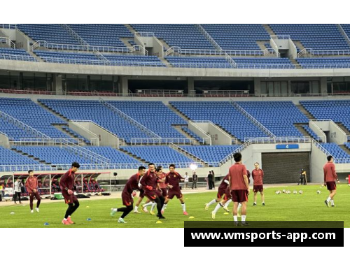 王雪峰：中国篮球场上的新一代领袖