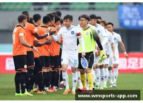 丽江飞虎球队阵容大揭秘