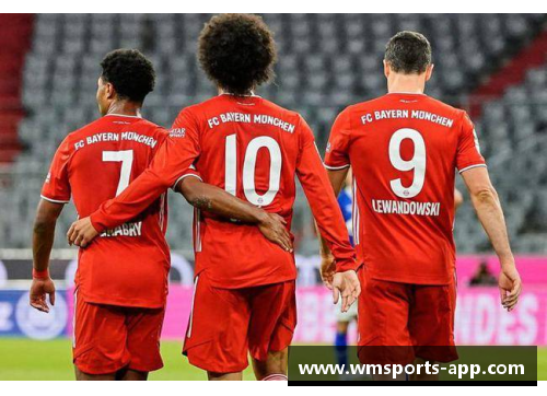 拜仁荷兰球员：扬帆德甲的风云传奇