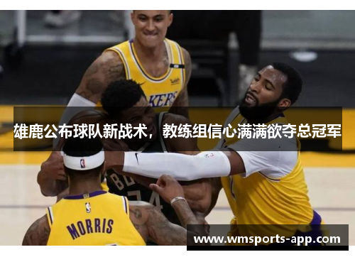雄鹿公布球队新战术，教练组信心满满欲夺总冠军